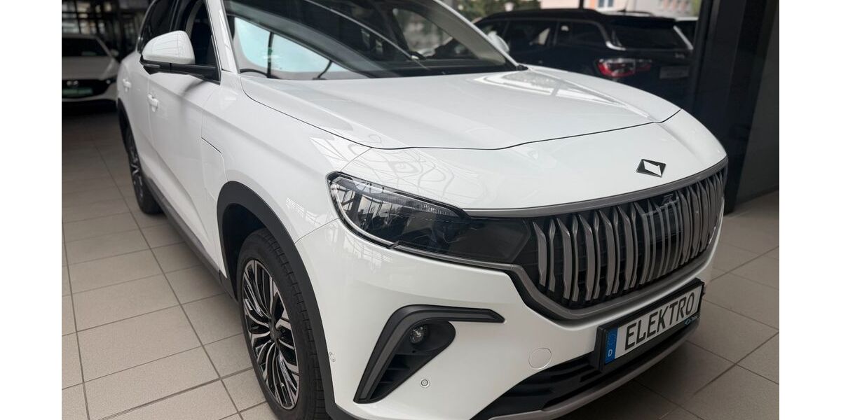 Togg T10X 25.056 km 36.952 &euro; Stuttgart 70567