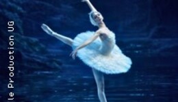 Ballett - Schwanensee