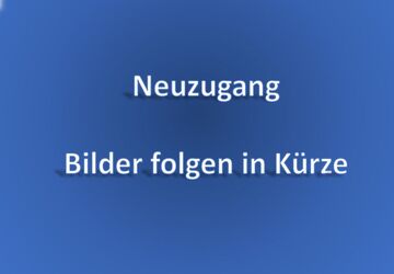 VW Golf 93.900 km 16.600 &euro; Sindelfingen 71065